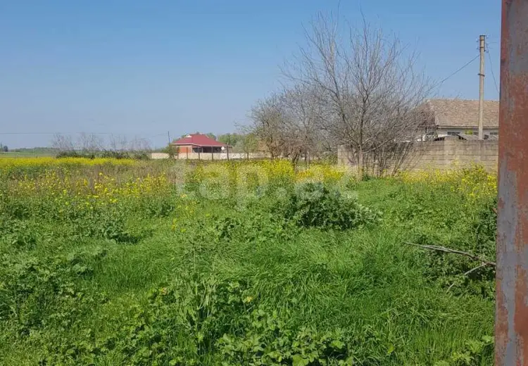 5 otaqlı mənzil , Masallı