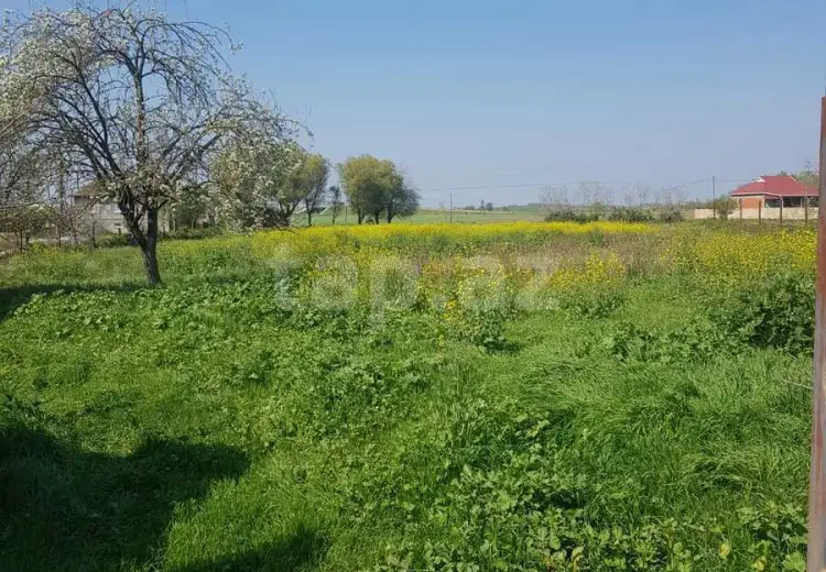 5 otaqlı mənzil , Masallı