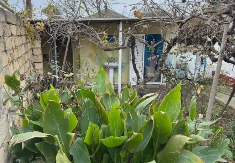 5 otaqlı mənzil , Xudat