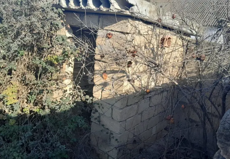 0 m² Obyekt / Ofis , Şirvan