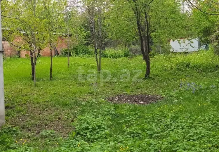 3 otaqlı mənzil , Qəbələ
