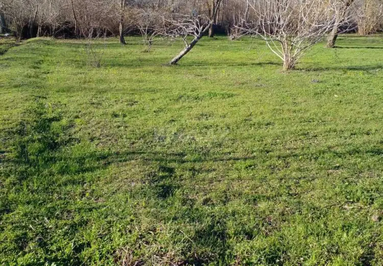 20 sot Torpaq Satılır, Qəbələ