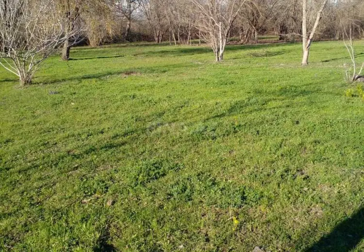 20 sot Torpaq Satılır, Qəbələ