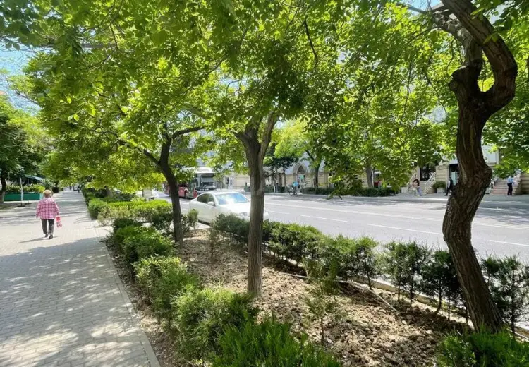 80 m² Obyekt / Ofis Satılır, Yasamal, Bakı