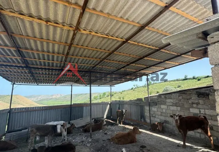 300 sot Torpaq Satılır, Siyəzən