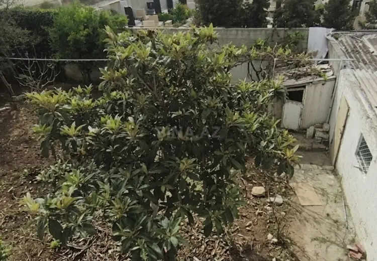 3 sot Torpaq Satılır, Bülbülə qəs., Suraxanı, Bakı