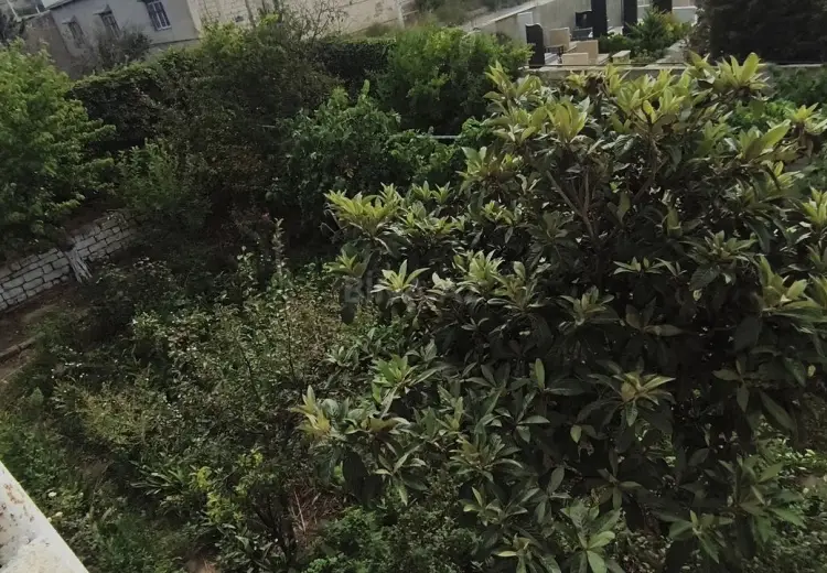 3 sot Torpaq Satılır, Bülbülə qəs., Suraxanı, Bakı