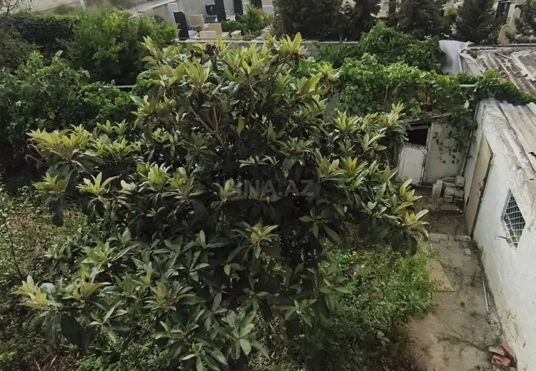 3 sot Torpaq Satılır, Bülbülə qəs., Suraxanı, Bakı