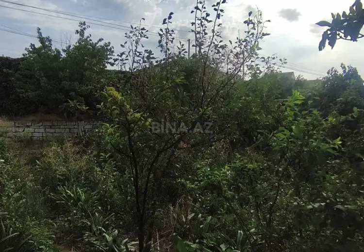 3 sot Torpaq Satılır, Bülbülə qəs., Suraxanı, Bakı