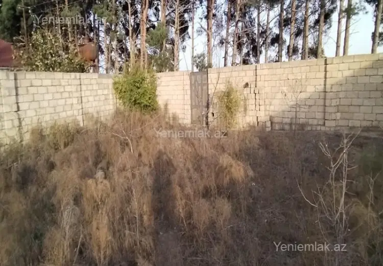 8 sot Torpaq Satılır, Goradil, Abşeron