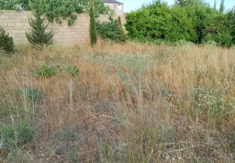 3 sot Torpaq Satılır, Sabunçu, Bakı