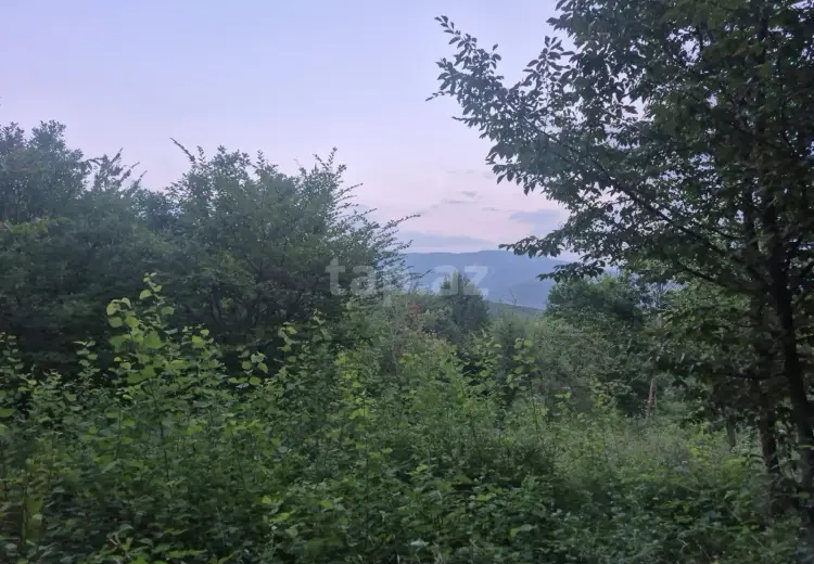 0 m² Obyekt / Ofis , İsmayıllı