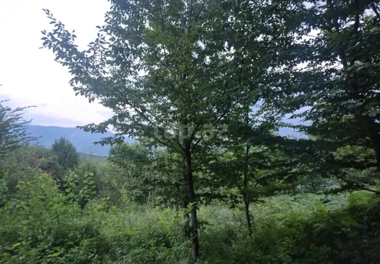 0 m² Obyekt / Ofis , İsmayıllı