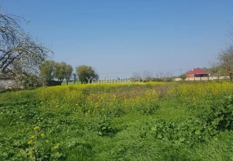 5 otaqlı mənzil Satılır, Masallı