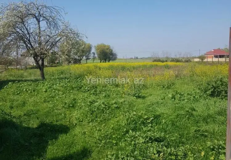 5 otaqlı mənzil Satılır, Masallı