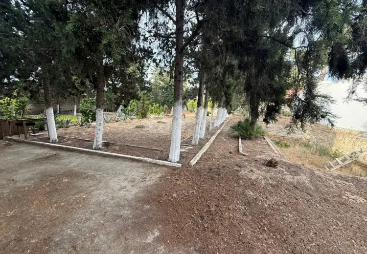 0 m² Obyekt / Ofis , Mərdəkan, Xəzər, Bakı