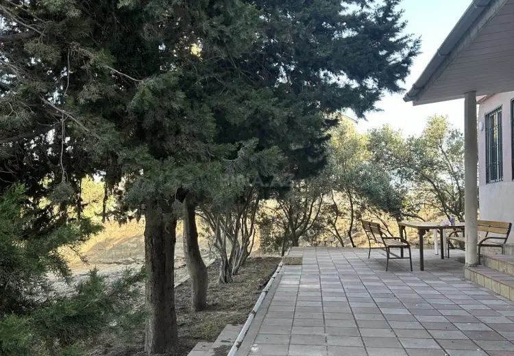 12 sot Torpaq Satılır, Novxanı, Abşeron