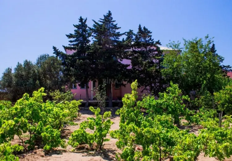 12 sot Torpaq Satılır, Novxanı, Abşeron
