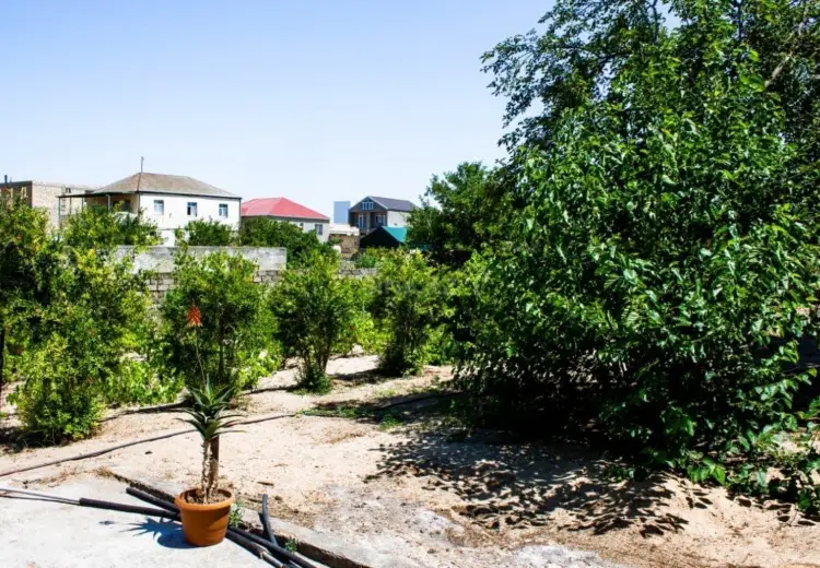 12 sot Torpaq Satılır, Novxanı, Abşeron