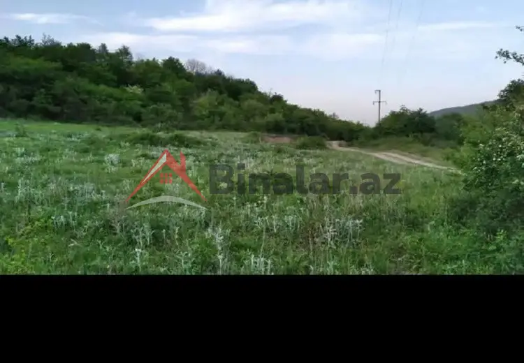 50 sot Torpaq Satılır, Qusar