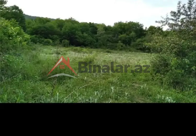 50 sot Torpaq Satılır, Qusar