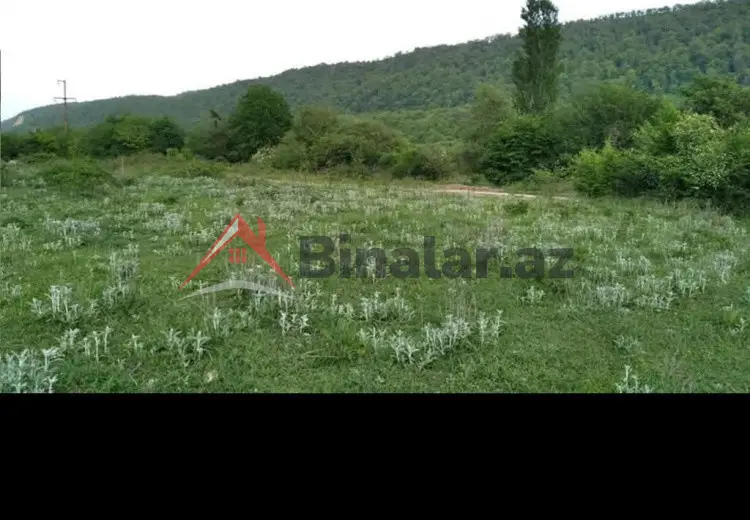 50 sot Torpaq Satılır, Qusar