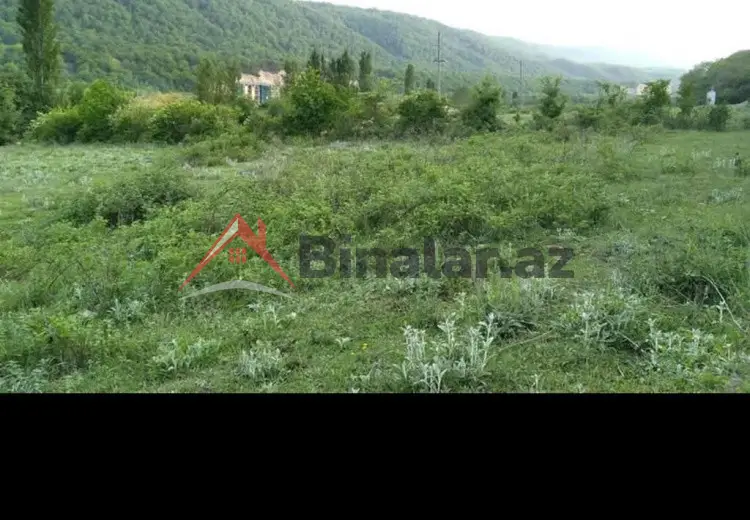 50 sot Torpaq Satılır, Qusar