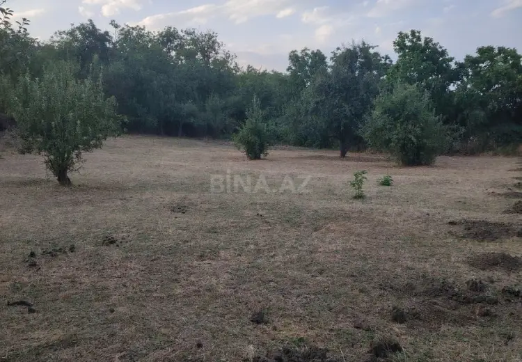12 sot Torpaq Satılır, Şabran