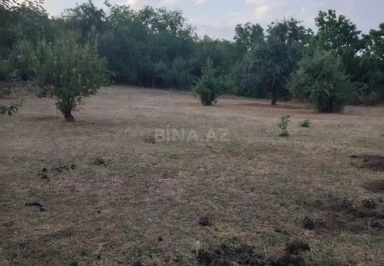 12 sot Torpaq Satılır, Şabran