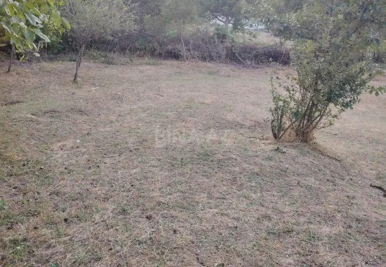 12 sot Torpaq Satılır, Şabran
