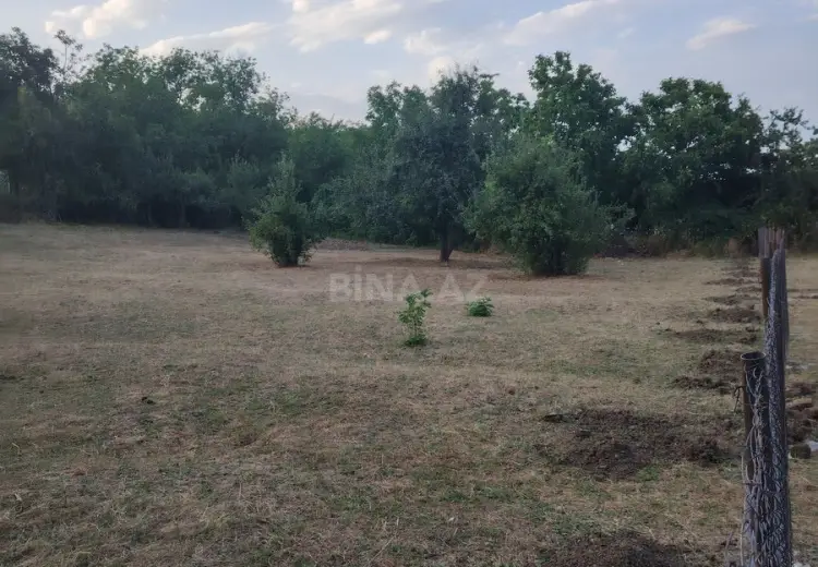 12 sot Torpaq Satılır, Şabran