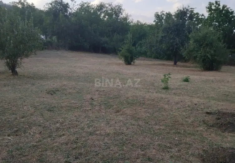 12 sot Torpaq Satılır, Şabran