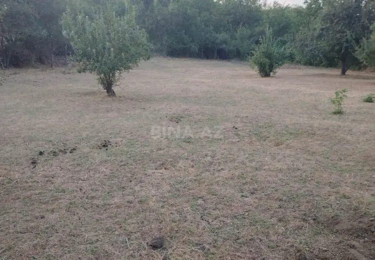 12 sot Torpaq Satılır, Şabran