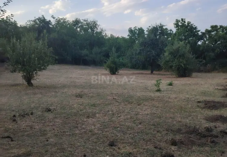 12 sot Torpaq Satılır, Şabran