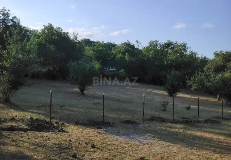 12 sot Torpaq Satılır, Şabran