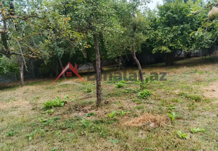 1 sot Torpaq Satılır, İsmayıllı