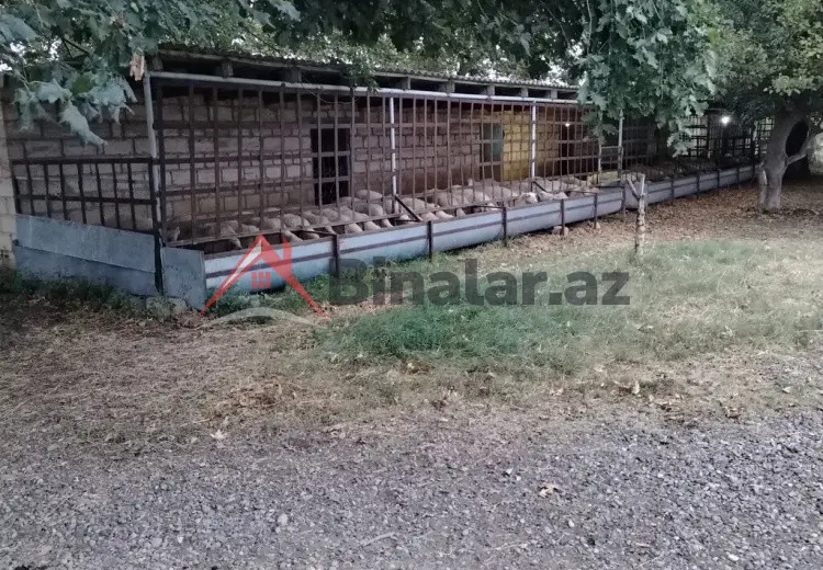 0 m² Obyekt / Ofis Kirayə (aylıq), Bərdə