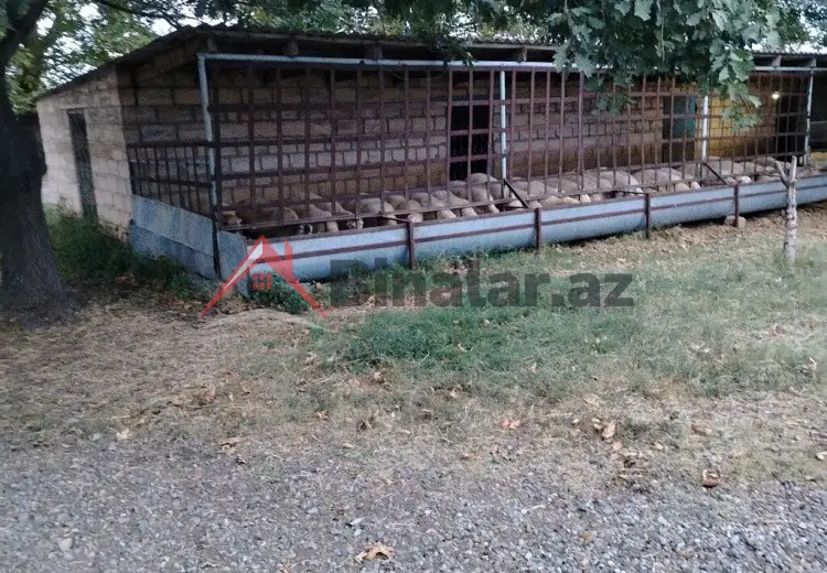 0 m² Obyekt / Ofis Kirayə (aylıq), Bərdə