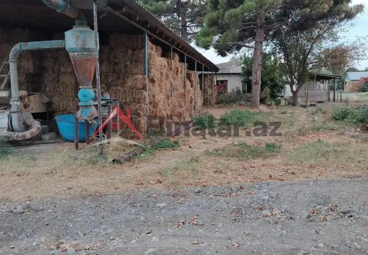 0 m² Obyekt / Ofis Kirayə (aylıq), Bərdə