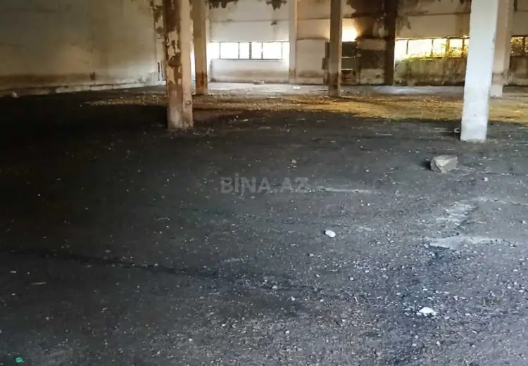 162.3 sot Torpaq Satılır, İsmayıllı