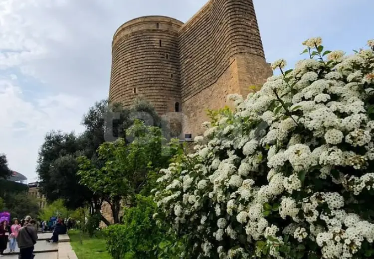 7 otaqlı mənzil , Bakı