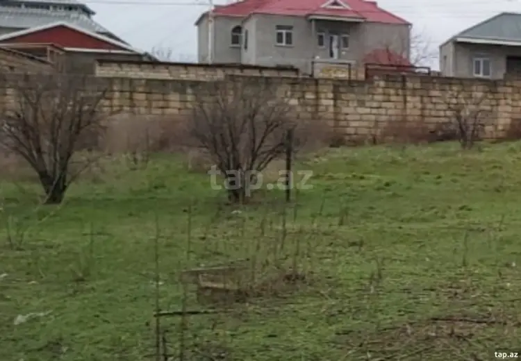 0 m² Obyekt / Ofis , Saray, Abşeron