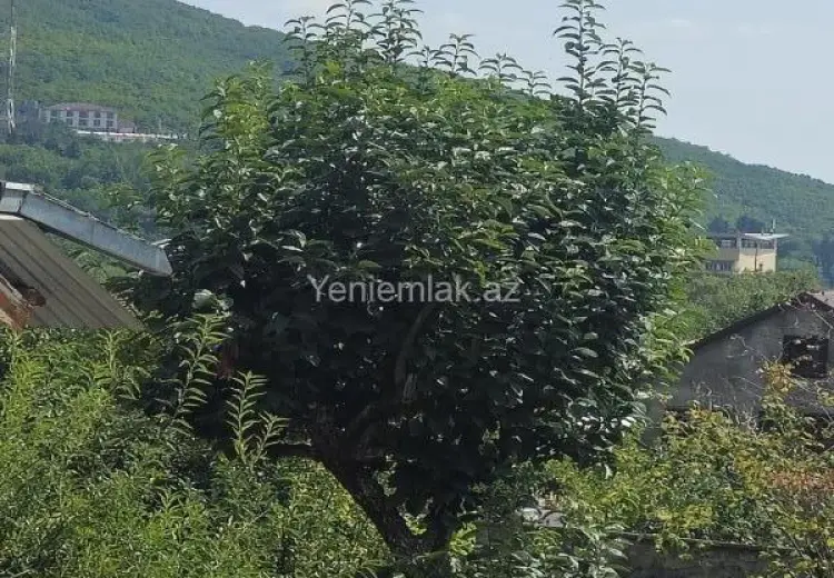 4 otaqlı mənzil Satılır, Şəki