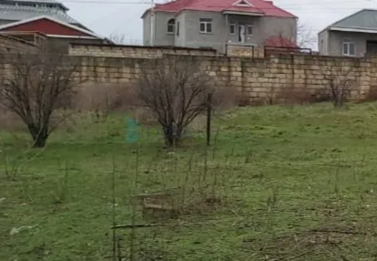 10 sot Torpaq Satılır, Saray, Abşeron