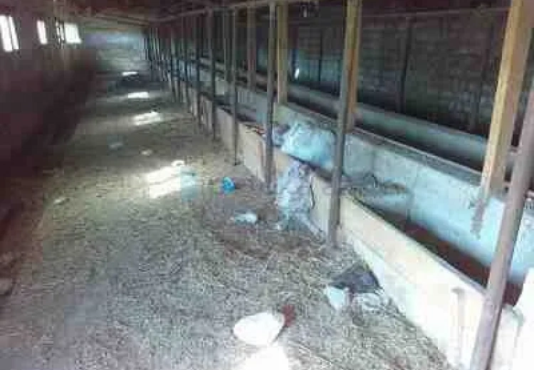 20 sot Torpaq Satılır, Masazır, Abşeron