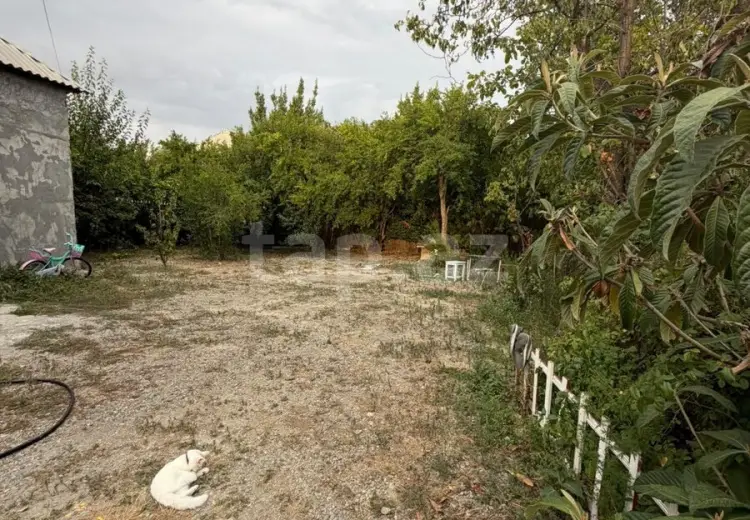 3 otaqlı mənzil , Mingəçevir