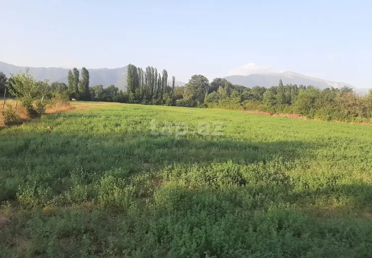 0 m² Obyekt / Ofis , İsmayıllı