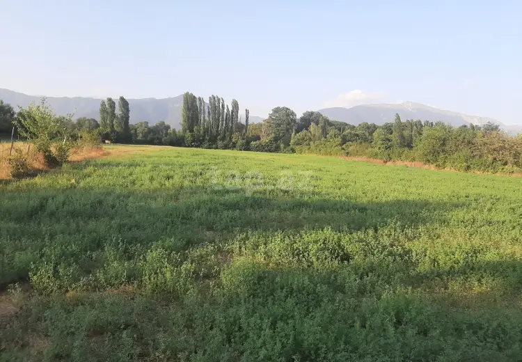 0 m² Obyekt / Ofis , İsmayıllı