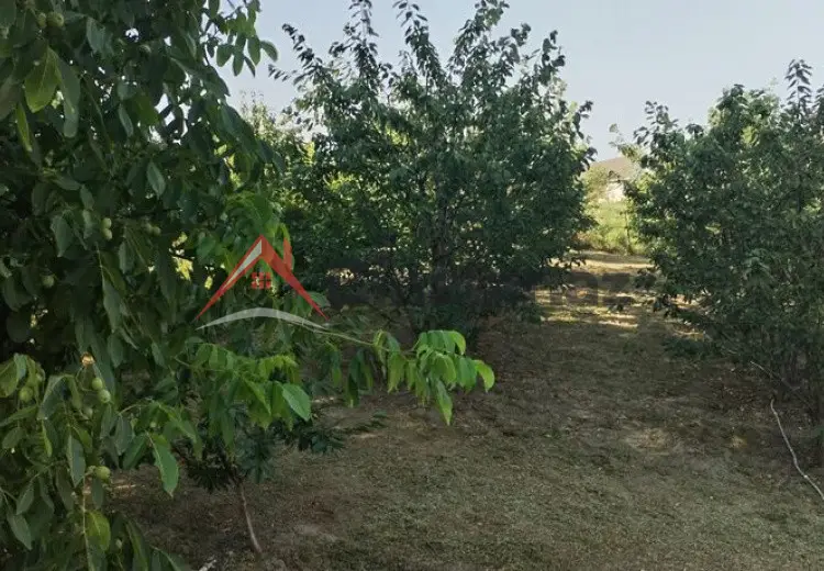 10 sot Torpaq Satılır, Quba