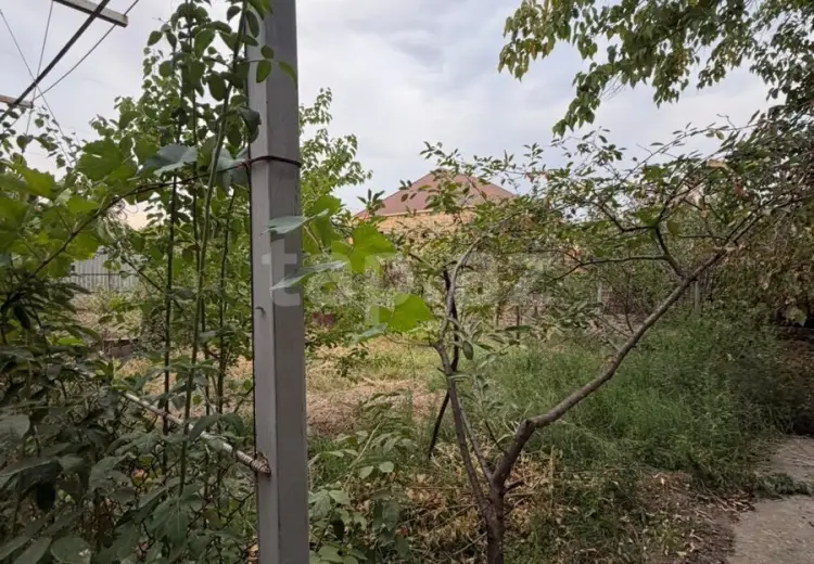 2 otaqlı mənzil , Mingəçevir